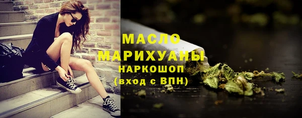 мдпв Елабуга