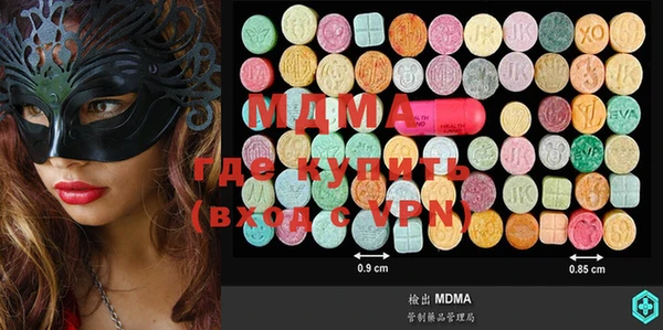мдпв Елабуга