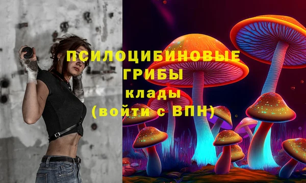 спайс Елизово