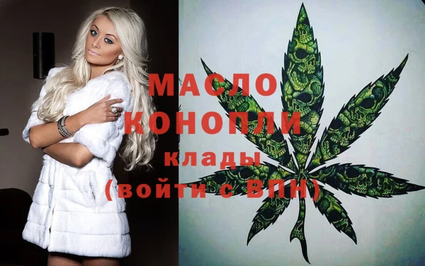 мдпв Елабуга