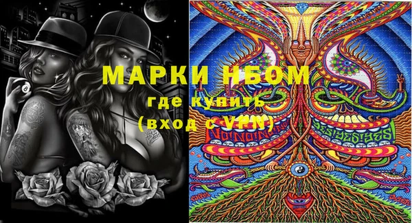 мдпв Елабуга