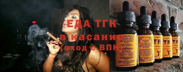 мдпв Елабуга